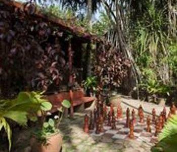 Hotel Palm Paradise Cabanas & Villas - Bild 4