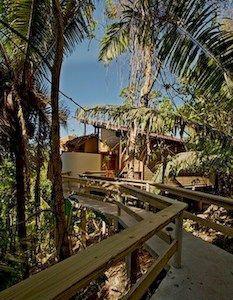 Hotel Caves Branch Jungle Lodge - Bild 2