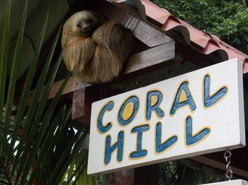 Hotel Coral Hill Bungalows - Bild 3