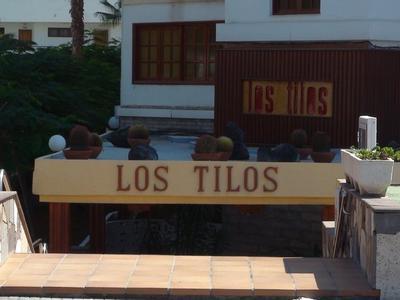 Hotel Apartamentos Los Tilos - Bild 4