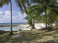 Hotel Carib Beach Apartments - Bild 4