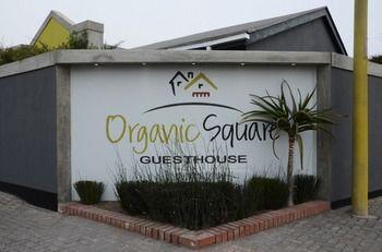 Hotel Organic Square Guesthouse - Bild 3
