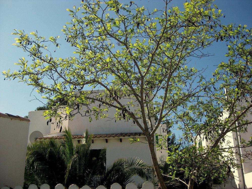 Hotel Casa Ceiba Maria - Bild 1