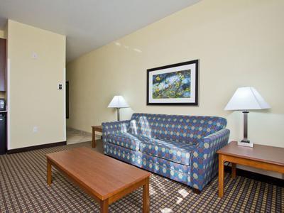 Hotel Holiday Inn Express & Suites Denver East-Peoria Street - Bild 4