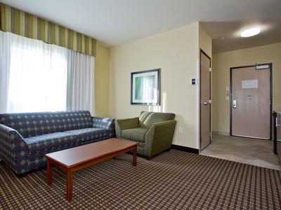 Hotel Holiday Inn Express & Suites Denver East-Peoria Street - Bild 3