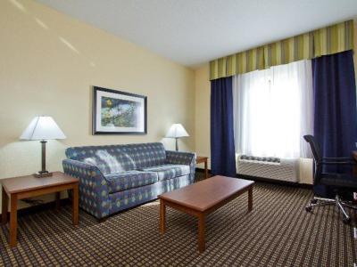 Hotel Holiday Inn Express & Suites Denver East-Peoria Street - Bild 5