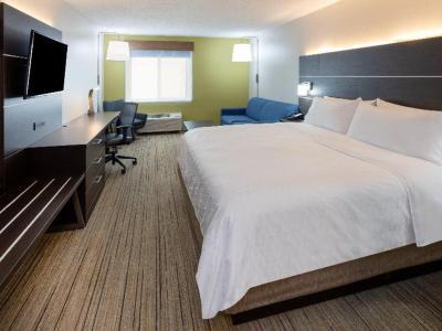 Hotel Holiday Inn Express & Suites Minneapolis-Dwtn (Conv Ctr) - Bild 5