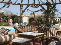 Hotel Ganet Sinai Resort - Bild 2