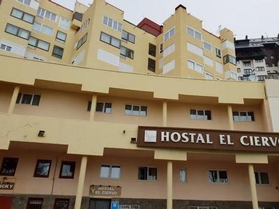 Hotel Hostal El Ciervo - Bild 4