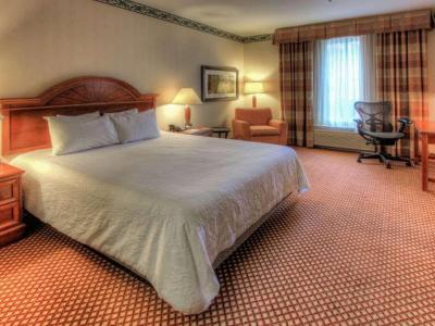 Hotel Hilton Garden Inn Williamsburg - Bild 3