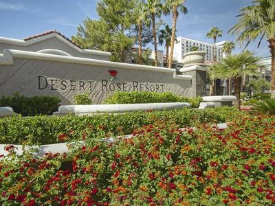Hotel Desert Rose Resort - Bild 2