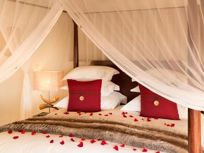 Hotel The Royal Madikwe Luxury Safari Lodge - Bild 2