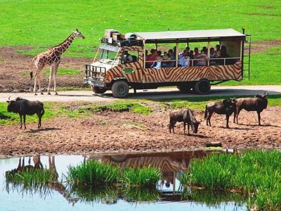 Hotel Serengeti Safari Lodge - Bild 4
