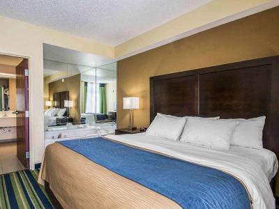 Hotel Comfort Inn & Suites Lantana - West Palm Beach South - Bild 4