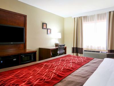 Hotel Comfort Inn & Suites Leeds I-20 - Bild 3