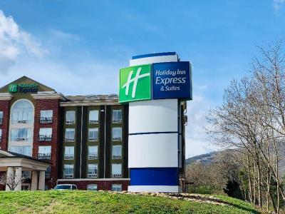 Hotel Holiday Inn Express & Suites Chattanooga - Lookout Mountain - Bild 2