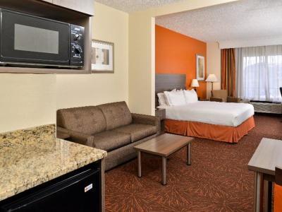 Hotel Holiday Inn Express & Suites Chattanooga - Lookout Mountain - Bild 5