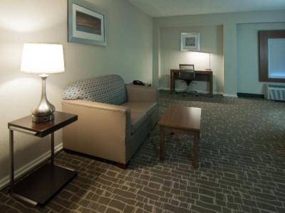 Hotel Holiday Inn Express & Suites Nashville I-40 & I- 24 - Bild 5