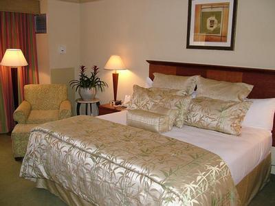 Hotel Holiday Inn Tampa Westshore - Airport Area - Bild 3