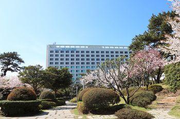 Hotel Hyundai Ulsan - Bild 3