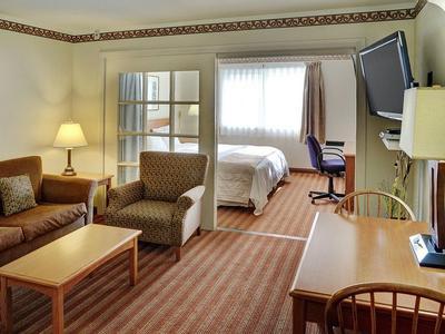 Hotel Lakeview Inn & Suites Brandon - Bild 3