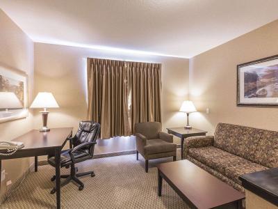 Hotel Comfort Inn & Suites Red Deer - Bild 5