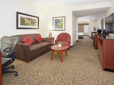 Hotel Hilton Garden Inn Phoenix/Avondale - Bild 5