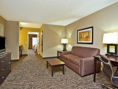 Holiday Inn Hotel & Suites Green Bay Stadium - Bild 4