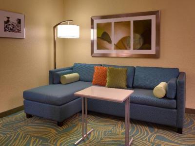 Hotel SpringHill Suites by Marriott Cedar City - Bild 3