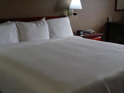 Hotel Regency Inn & Suites - Bild 4
