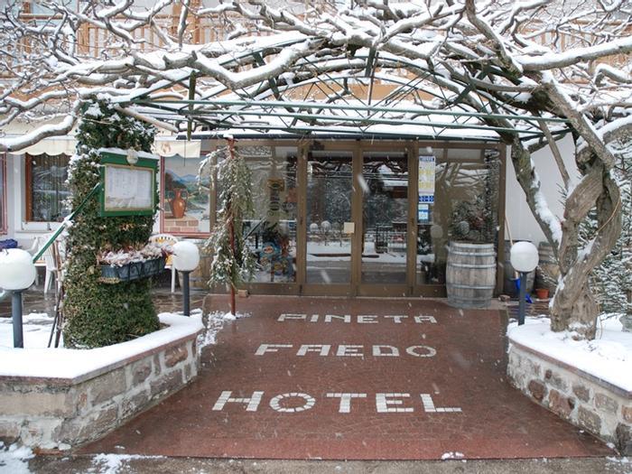 Hotel Faedo Pineta - Bild 1
