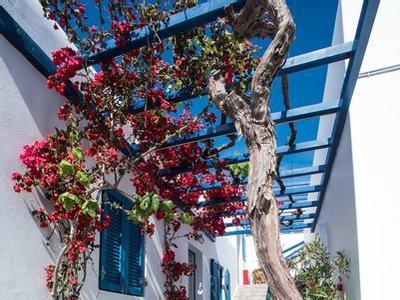 Spanelis Hotel Mykonos - Bild 2