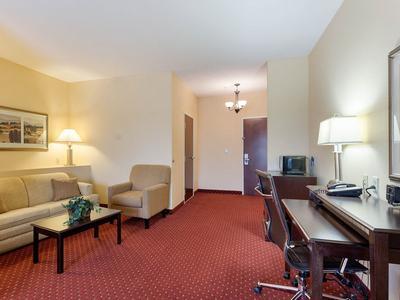 Hotel Comfort Suites West Memphis I-40 I-55 - Bild 5
