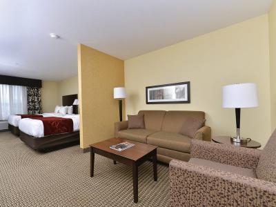 Hotel Comfort Suites Conference Center Rapid City - Bild 3