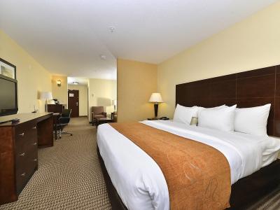 Hotel Comfort Suites Conference Center Rapid City - Bild 5