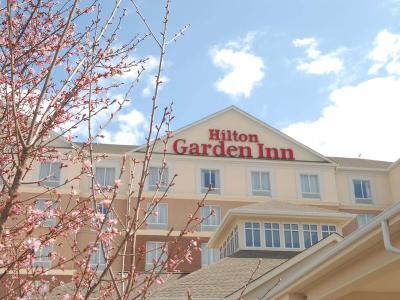 Hotel Hilton Garden Inn Charlotte Concord - Bild 2