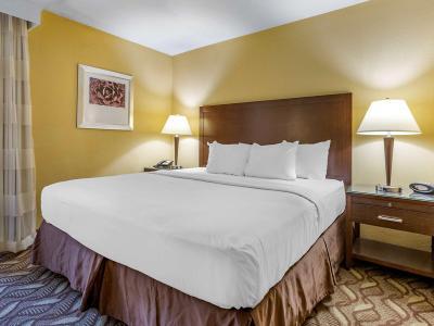 Hotel Clarion Inn & Suites - Bild 5