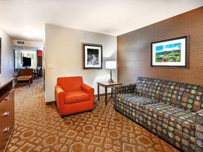 Holiday Inn Hotel & Suites Durango Central - Bild 5