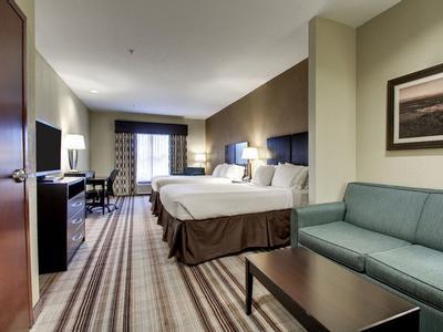 Hotel Holiday Inn Express & Suites Natchez South - Bild 4