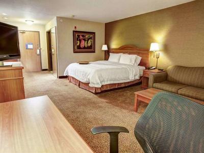 Hotel Comfort Inn & Suites Rapid City Near Mt Rushmore - Bild 5