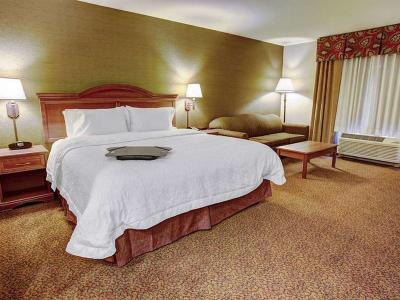 Hotel Comfort Inn & Suites Rapid City Near Mt Rushmore - Bild 4