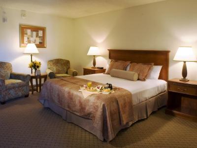 Best Western Plus Royal Oak Hotel - Bild 2