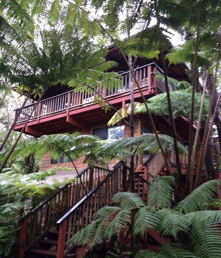 The Guest Cottages at Volcano Acres Tree House - Bild 1