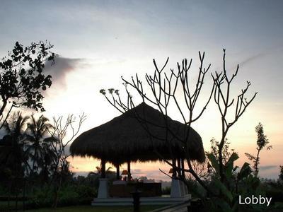 Hotel Nandini Bali Jungle Resort & Spa - Bild 4