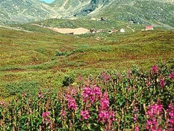 Hatcher Pass Bed and Breakfast