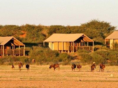 Intu Afrika Kalahari - Suricat Tented Lodge