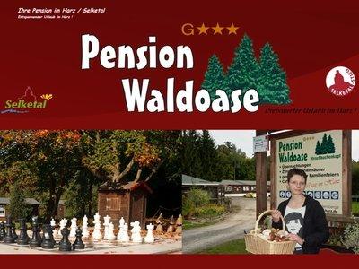 Pension Waldoase Hirschbuchenkopf