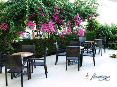 Flamingo Beach - Larnaca