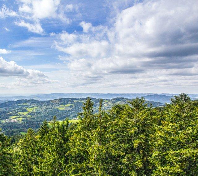 Bayerischer Wald –  Tipps zum Gebirge