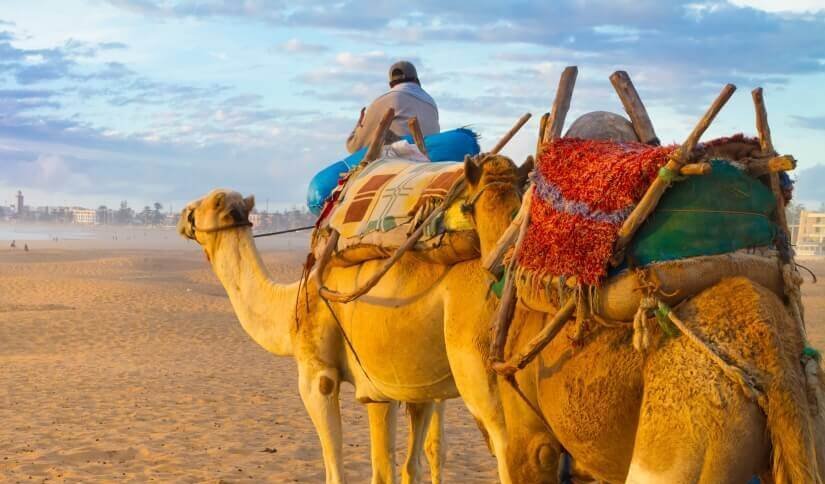 Kameltour durch Marokko